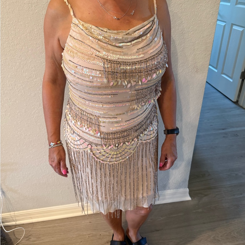Sue Wong beaded Elegant Sequin Fringe Dress size 4 baby pink